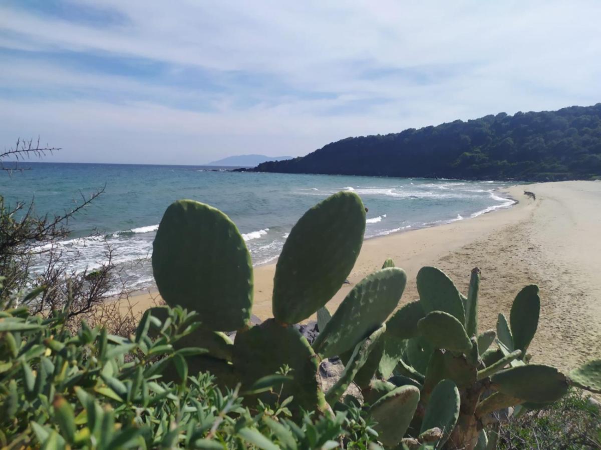 Appartamento A 50 Mt Dal Mare Кала-Гононе Экстерьер фото
