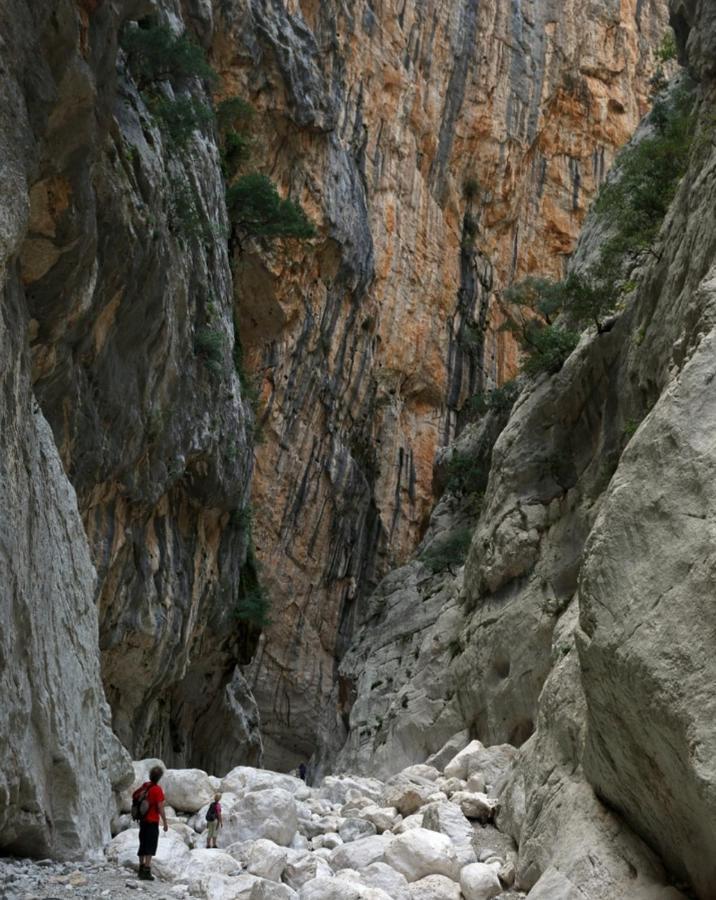 Appartamento A 50 Mt Dal Mare Кала-Гононе Экстерьер фото