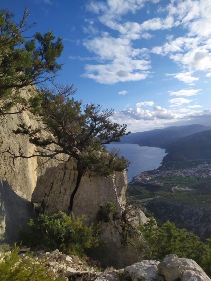 Appartamento A 50 Mt Dal Mare Кала-Гононе Экстерьер фото